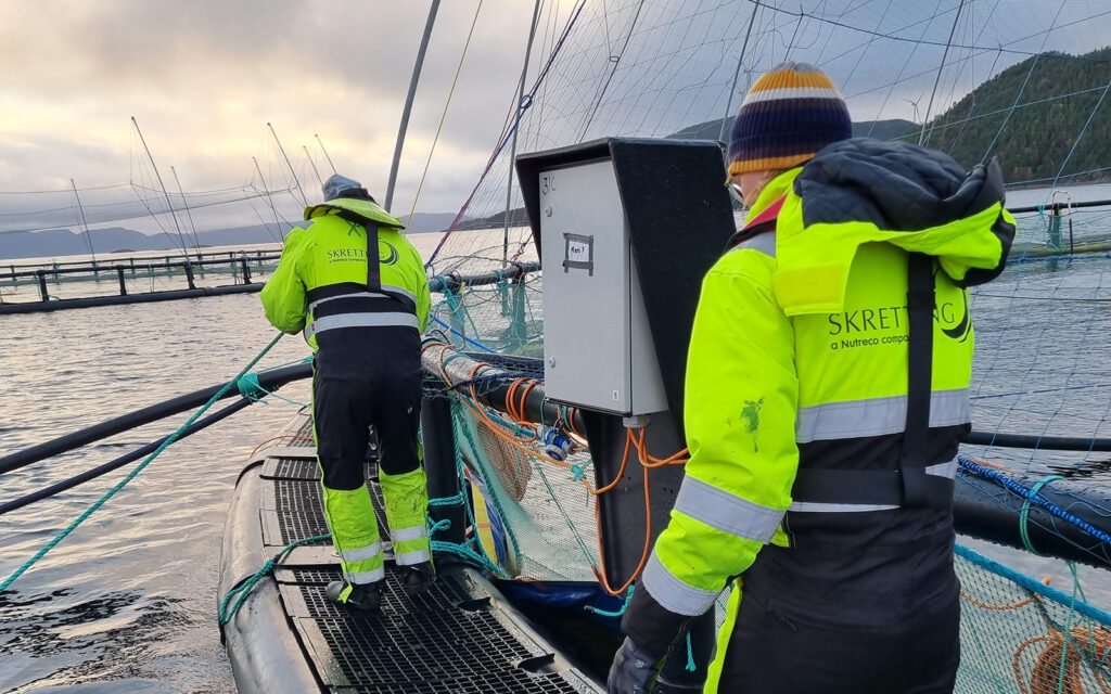 Två män på en ponton som tar upp något ur havet